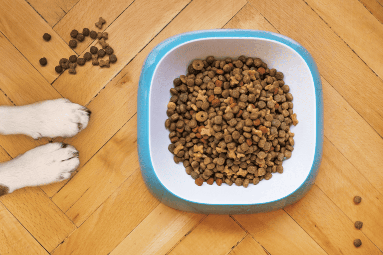 dog food, from:unsplash