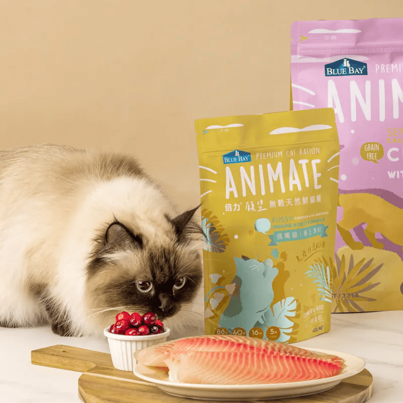 倍力貓飼料