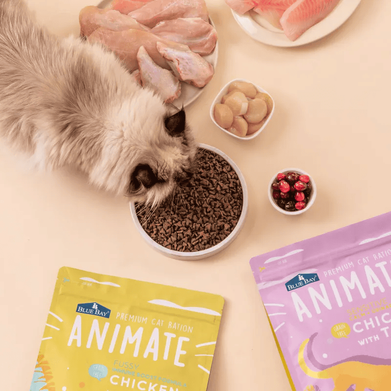 倍力貓飼料